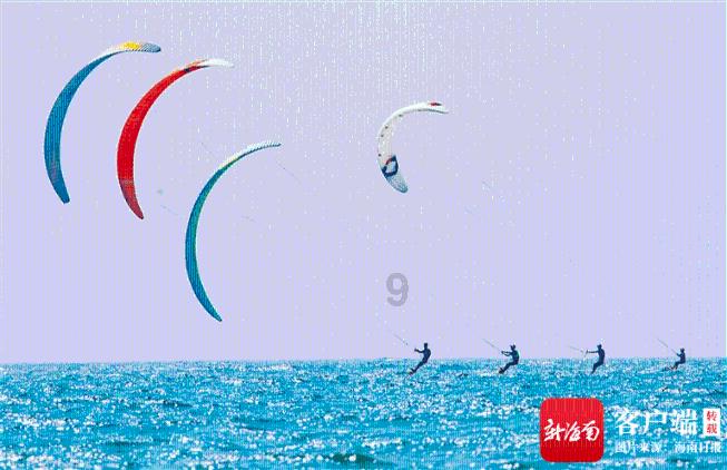 细胞分裂6
